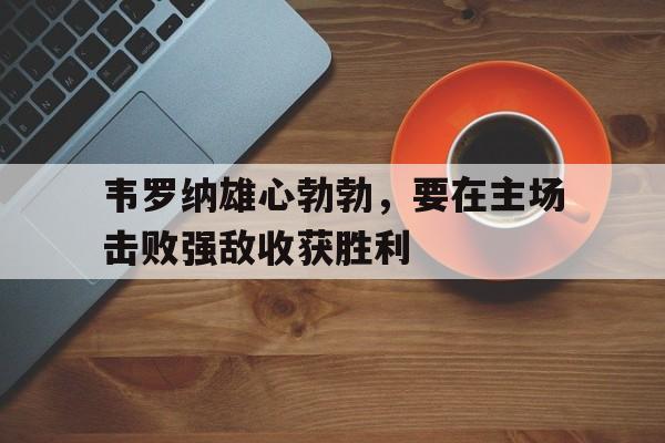 韦罗纳雄心勃勃，要在主场击败强敌收获胜利的简单介绍