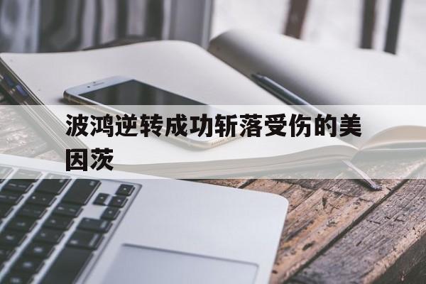 包含波鸿逆转成功斩落受伤的美因茨的词条